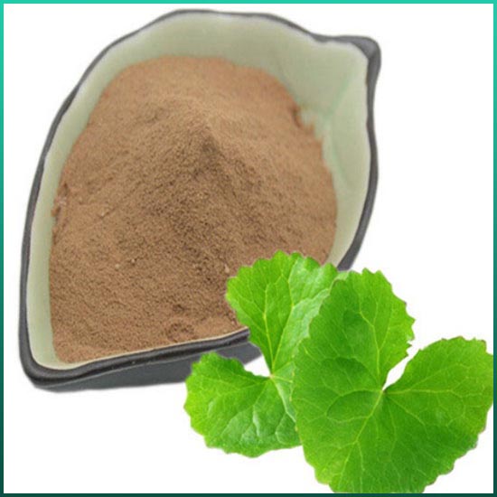 Gotu Kola Extract